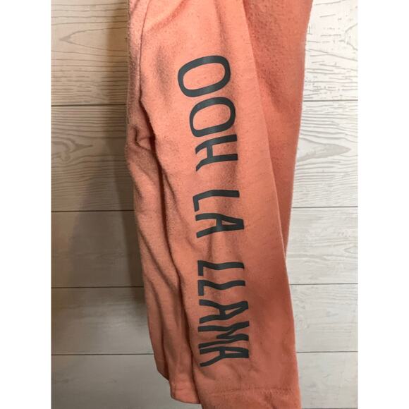 Just One You/Carter’s Llama 2 piece pajama set Size 2T - Picture 8 of 8